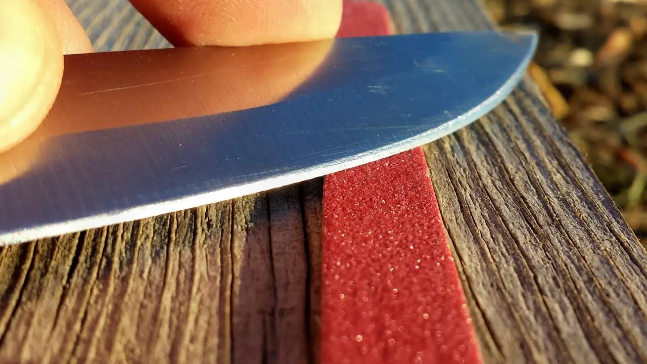 Can You Sharpen a Pocket Knife With a Knife Sharpener?